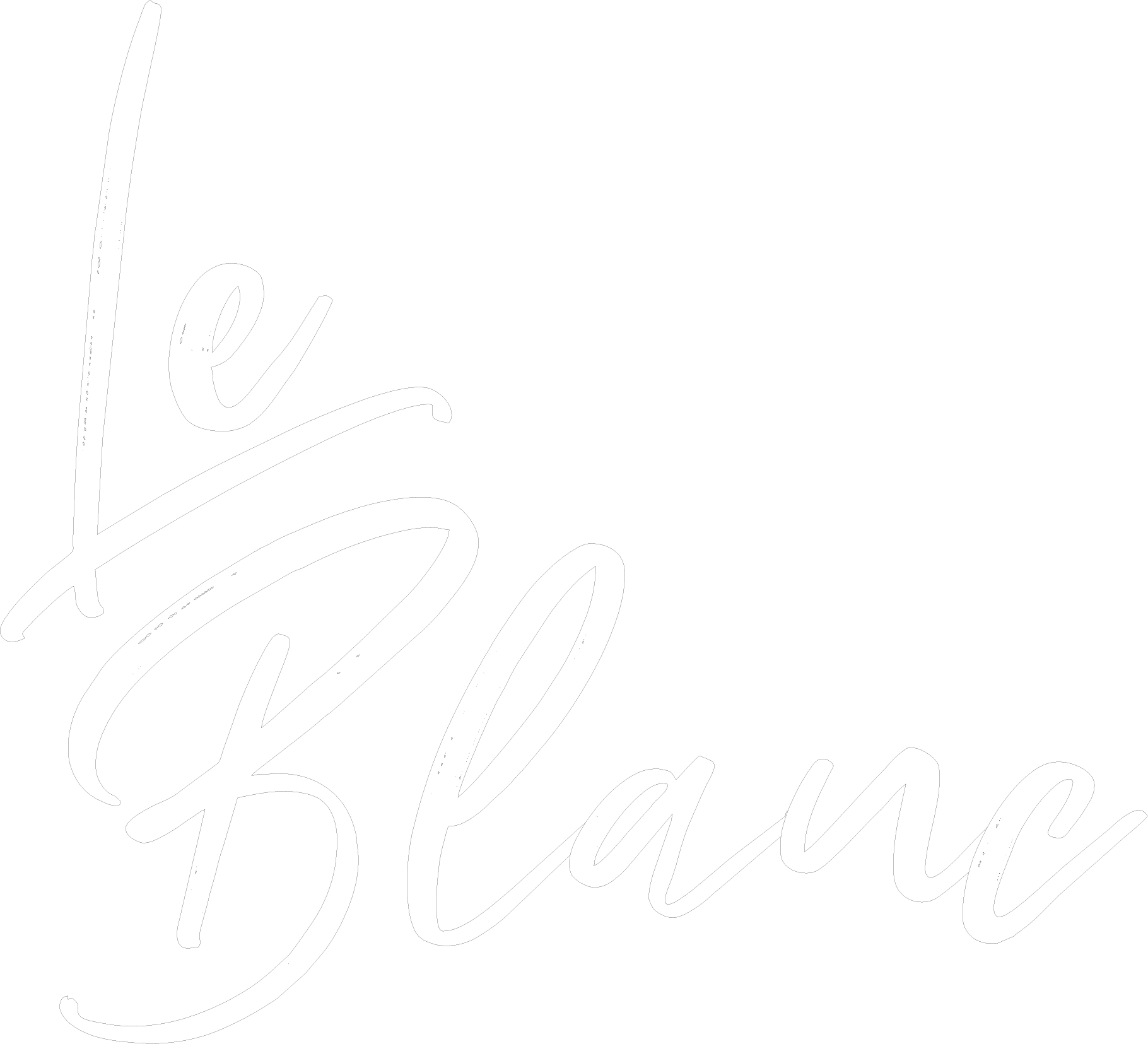 Le Blanc Sunglasses LLC logo