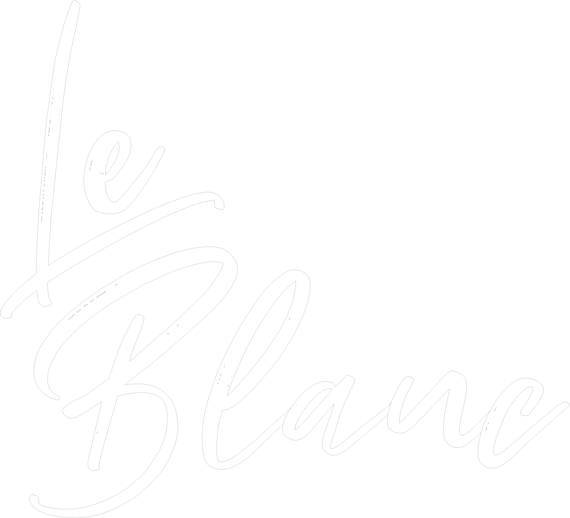 Le Blanc Sunglasses LLC